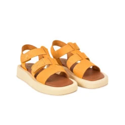 Pataugas ATARI/NU F2I OCRE -Pataugas Boutique SANDALE FEMME ATARI NU F2I OCRE 628448 251 4 0fc7fac9 5088 4f30 8f1a 4cc7a3bacf39